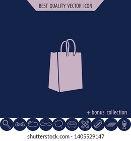 Bag vector icon, web design element