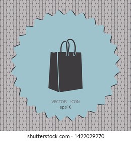 Bag vector icon, web design element