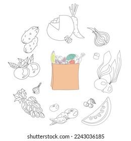 Bag with vegetables on white background. Hand drawn fruits and veges around the paper bag with groceries