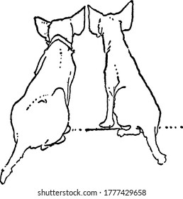 The bag view of two dogs, sitting on the road. Out of the two, one is wearing a collar around its neck, vintage line drawing or engraving illustration