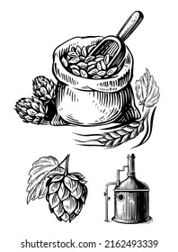 Bag wheat with hop sketch. Brewing drawing