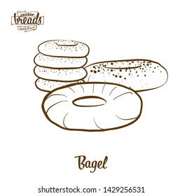 Bagel bread vector drawing. Food sketch of Yeast bread, usually known in Polish, Ashkenazi, Jewish. Bakery illustration series.
