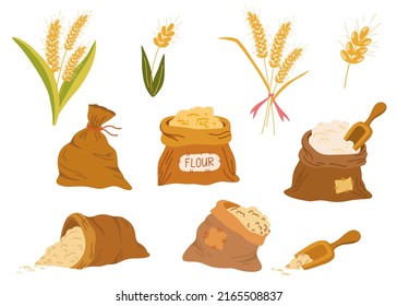 Taschen Mehl und Weizenähren gesetzt. Weizen, Roggen, Roggenohr, Symbol der Landwirtschaft, Brot, Ernte. Ganze Stiele, ein organisches vegetarisches Element der Lebensmittelverpackung. Vektorflache Illustration. 