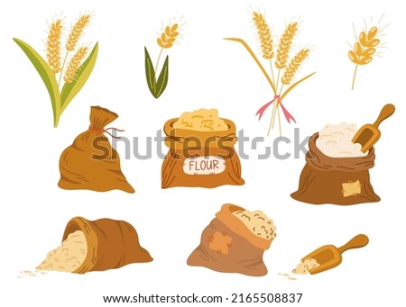 Bags flour and wheat ears set. Wheat, rye, rye ear, symbol of farming, bread, harvest. Whole stems, an organic vegetarian element of food packaging. Vector flat illustration. 