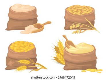 Bags of wheat, rye and flour vector illustrations set. Sacks with barley and oat grains, seeds isolated on white background. Agriculture, farming, agronomy concept