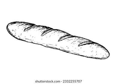 Esbozo de pan de Baguette. Pan largo realista, dibujado a mano con vectores, aislado en fondo blanco.