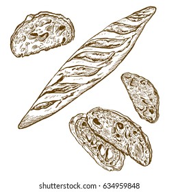 Baguette with bread slices, hand drawn vector illustration