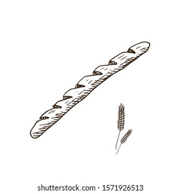 Baguette. Hand drawn loaf of bread. Sketch style vector illustration. Isolated on white