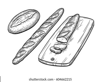 Baguette and rustic bread. Hand drawn vector illustration. Isolated on white background. Vintage style.