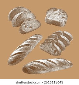 Baguette vector, Baguette illustration, line drawing on light brown background.