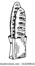 Baguettes pakage simple doodle illustration vector