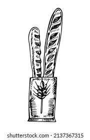 Baguettes pakage simple doodle illustration vector