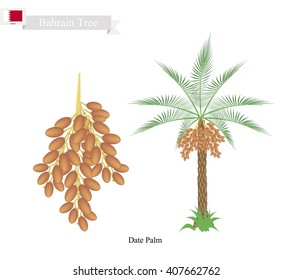 Bahrain Tree, Illustration of Date Palm. The National Tree of Bahrain.