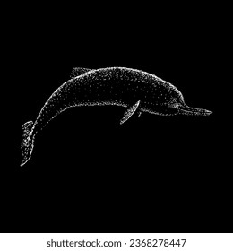 baiji dolphin hand drawing vector isolated on black background.