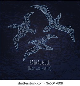 Baikal gull illustration in doodle style. Vector monochrome sketches with geometric pattern and inscription on dark blue background.