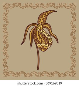 Baikal iris illustration in doodle style. Vector monochrome sketches with geometric pattern brown beige gentle tones.