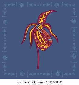 Baikal iris illustration in doodle style. Vector monochrome sketches with geometric pattern in bright colors.
