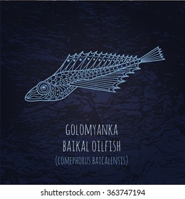 Baikal oilfish golomyanka illustration in doodle style. Vector monochrome sketches with geometric pattern and inscription on dark blue background.