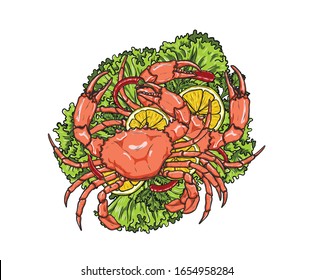 Bairdi Crabs with lemon and vegetable on white background.Bairdi Crabs vector art highly detailed in line art style.