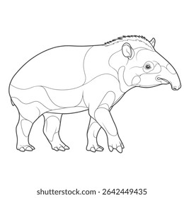 "Baird's Tapir - Tapirus bairdii" . 