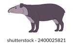 Bairds tapir wild nature mammal animal herbivore creature have small trunk and muzzle mouth