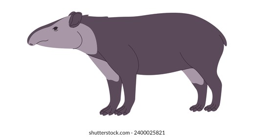 Bairds tapir wild nature mammal animal herbivore creature have small trunk and muzzle mouth