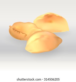 baked pie, burger, fried, baked pie, vector