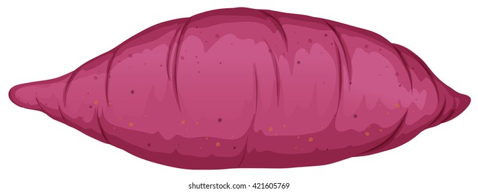 Baked Sweet Potato On White Background Illustration