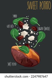 Baked sweet potatoes stuffed. Vector illustration