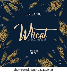 Bakery background with wheats. Linear graphic. Bread banner collection. Bread house. Vector illustration