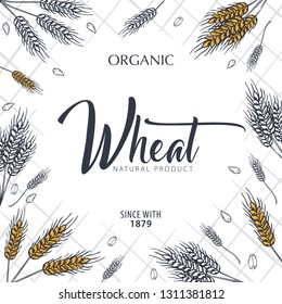 Bakery background with wheats. Linear graphic. Bread banner collection. Bread house. Vector illustration