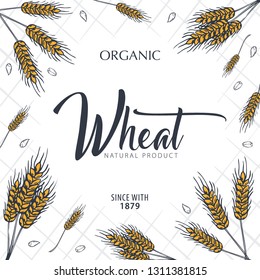Bakery background with wheats. Linear graphic. Bread banner collection. Bread house. Vector illustration
