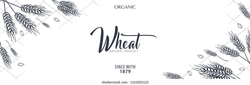 Bakery background with wheats. Linear graphic. Bread banner collection. Bread house. Vector illustration