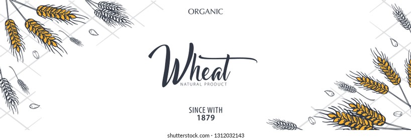 Bakery background with wheats. Linear graphic. Bread banner collection. Bread house. Vector illustration