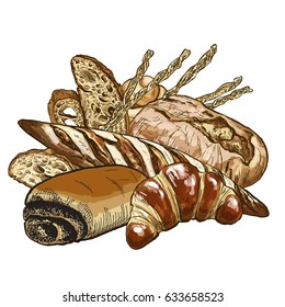 Bakery composition, full color hand drawn vector illustration