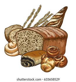 Bakery composition, full color hand drawn vector illustration