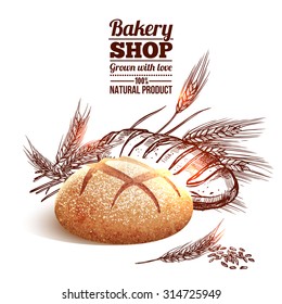 Bakery concept with sketch bread and hand drawn wheat on background vector illustration