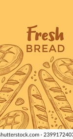Bakery house products, tasty fresh bread from shop or store. Local farm producing ingredients. Buns and baguettes for clients, delicious and organic food for dieting. Vector in flat style illustration