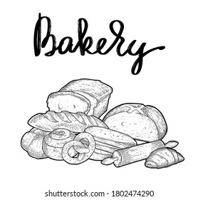 Bakery illustration, different kinds of bread, hand drawn vector, engraving style