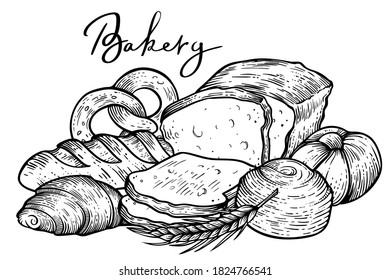 Bakery illustration, different kinds of bread, hand drawn vector, engraving style