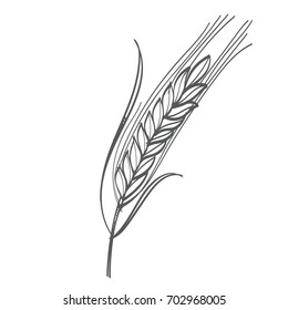 Bakery logo for store with wheat or rye. Monochrome vector illustration isolated on white background