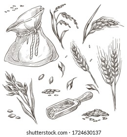 Bakery monochrome sketches outline, wheat or barley spikelets in heap. Isolated set of cereals harvesting, crop in bag tied with thread. Malt brewing company for alcohol making, vector in flat