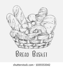 Bakery or pastry in wicker basket. Sketch of rye bread loaf and baguette, baton or doughnut, donut and bun. Cereal and wheat, dough, grocery and agriculture theme. Bakeries or shop banner