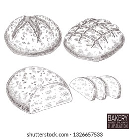 bakery product isolated on white background. Hand drawn bread food illustration. 