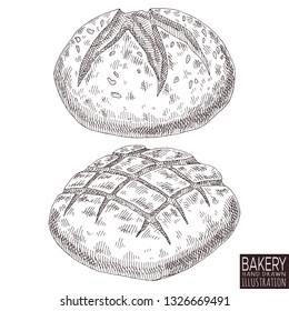 bakery product isolated on white background. Hand drawn bread food illustration. 