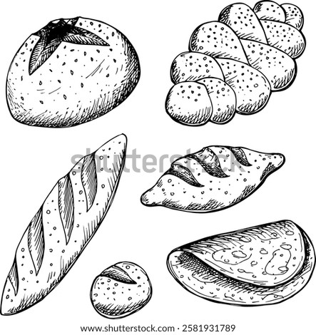 Bakery product vector set. Hand drawn doodle bread icons isolated on white background. Sketch clipart with round and brick loaf of bread and bun, baguette, flatbread, brioche and pastry in linear flat