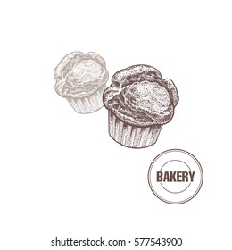 Bakery products. Muffin isolated on white background. Vector food illustration art. Style Vintage engraving. Hand drawing of brown ink.