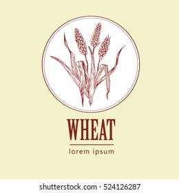 bakery retro bread or beer logo with wheat, vintage