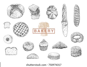 Bakery set. Hand drawn vector sketch with bread and sweet. Vintage engraved food image with bread, long loaf, toast, cookie, muffin, pie, buns and croissant