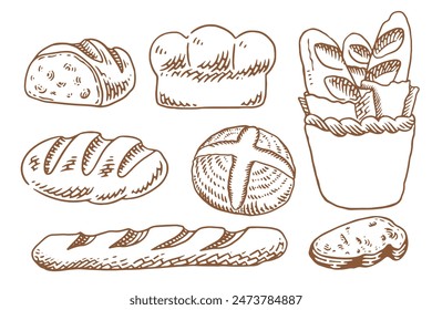 Bakery set with a lot of types fresh bread. Set of vintage hand drawn bakery elements.